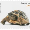 2016 Pets Celebrate Animals Forever Stamps – 5 Booklets / 100 Stamps