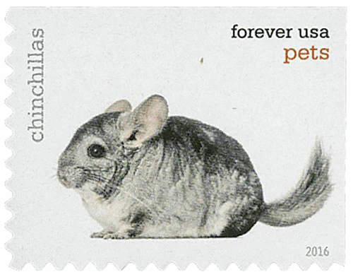 2016 Pets Celebrate Animals Forever Stamps – 5 Booklets / 100 Stamps