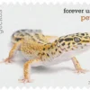 2016 Pets Celebrate Animals Forever Stamps – 5 Booklets / 100 Stamps