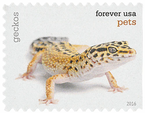 2016 Pets Celebrate Animals Forever Stamps – 5 Booklets / 100 Stamps