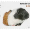 2016 Pets Celebrate Animals Forever Stamps – 5 Booklets / 100 Stamps