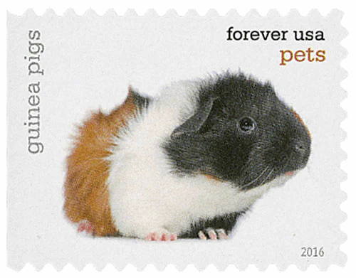 2016 Pets Celebrate Animals Forever Stamps – 5 Booklets / 100 Stamps